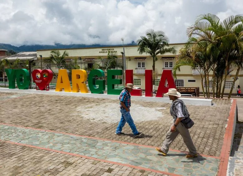 fumigación de plagas en argelia