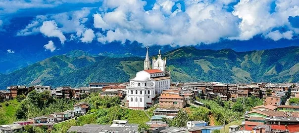 fumigación de plagas en Nariño