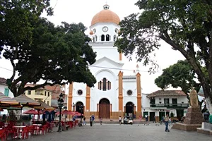 fumigación de plagas en San rafael